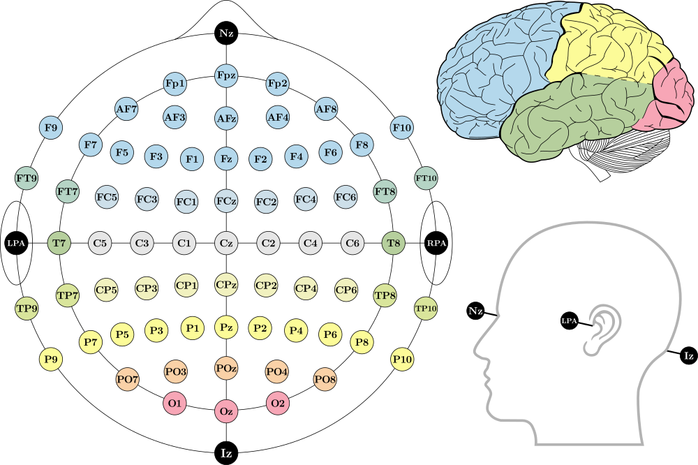 EEG electrode positions in the 10-10 system using modified combinatorial nomenclature, along with the fiducials and associated lobes of the brain.